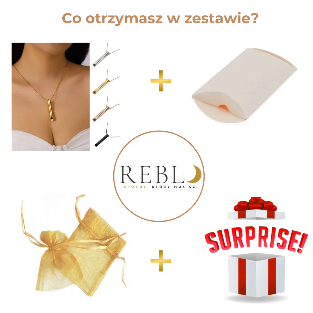 Co_otrzymasz_w_zestawie Reblo obrazek